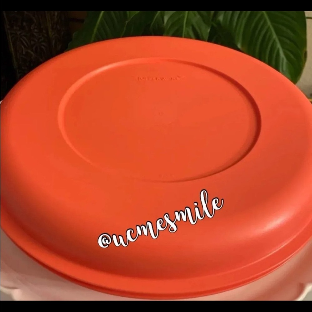 Tupperware Vegetable Snack Tray - Picture 2 of 5